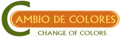 Cambio de colores 2007 logo
